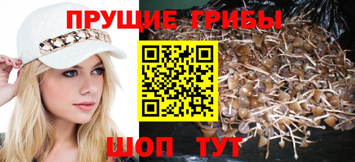 Галлюциногенные грибы MAGIC MUSHROOMS Бор